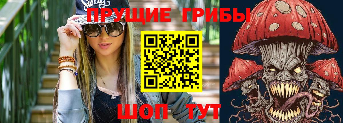 Ирбит  Галлюциногенные грибы Cubensis  Вход с VPN 