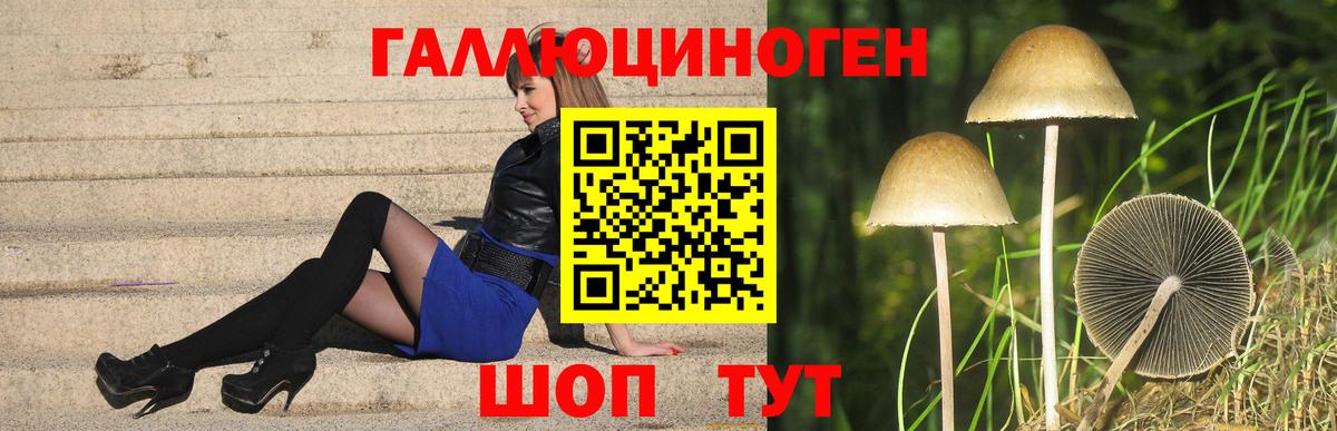 Псилоцибиновые грибы прущие грибы Ирбит